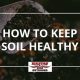 soil healthy, tips